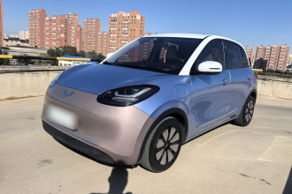 五菱汽车 五菱缤果 2023款 333km 悦享款
