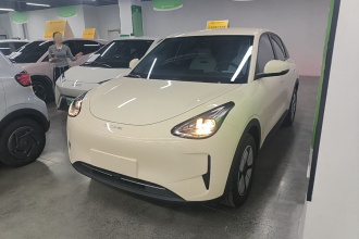 吉利银河 星愿 2025款 310km 青春版