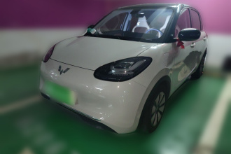 五菱汽车 五菱缤果 2023款 333km 灵犀互联款