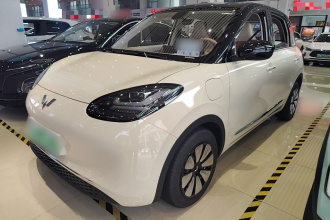 五菱汽车 五菱缤果 2025款 333km 悦享款