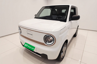 吉利银河 2024款 熊猫mini 200km 耐力熊