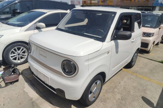 吉利银河 2023款 熊猫mini 200km 耐力熊