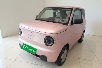 吉利银河 2024款 熊猫mini 200km 耐力熊