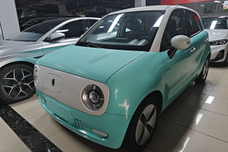 欧拉黑猫 2021款 301km 基础型