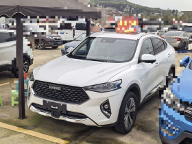 哈弗F7x 2019款 1.5T 两驱极智科技版