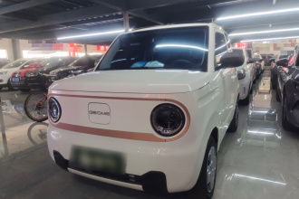 吉利银河 2024款 熊猫mini 200km 耐力熊