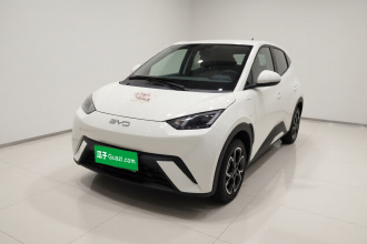 比亚迪 海鸥 2025款 305km 自由版