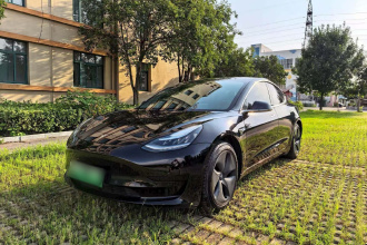 特斯拉 Model 3 2019款 标准续航后驱升级版