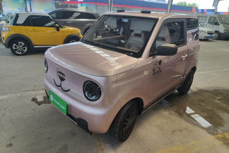 吉利银河 2024款 熊猫mini 200km 龙腾PRO版