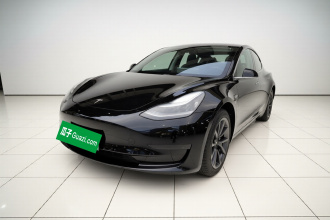 特斯拉 Model 3 2020款 标准续航后驱升级版