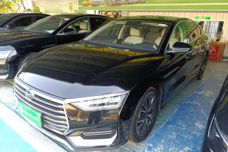 比亚迪e9 2021款 商务版