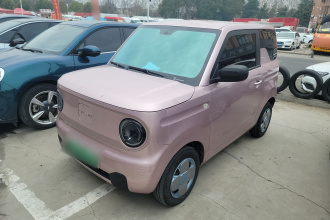 吉利银河 2023款 熊猫mini 200km 耐力熊