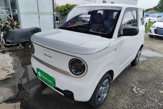 吉利银河 2023款 熊猫mini 120km 超萌熊