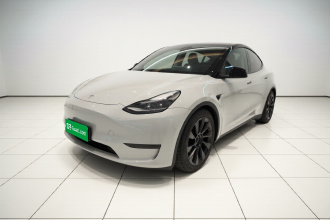 特斯拉 Model Y 2021款 Performance高性能全轮驱动版
