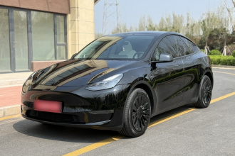 特斯拉 Model Y 2022款 改款 长续航全轮驱动版