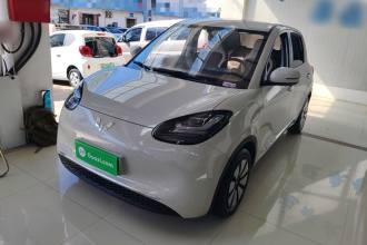 五菱汽车 五菱缤果 2024款 333km 悦享款