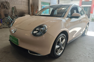 欧拉好猫 2021款 400km标准续航 维纳斯版 三元锂