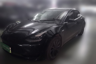 特斯拉 Model 3 2019款 标准续航后驱升级版