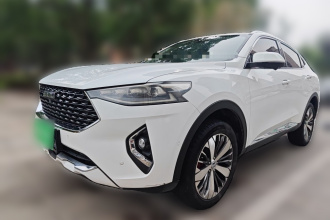 哈弗F7x 2019款 2.0T 两驱极智科技版
