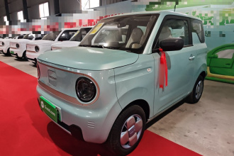 吉利银河 2024款 熊猫mini 200km 耐力熊