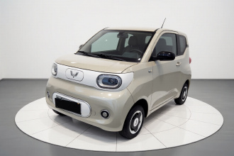 五菱汽车 宏光MINIEV 2024款 第三代 215km 青春版