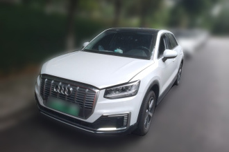 奥迪Q2L e-tron 2019款 Q2L e-tron 纯电智享型