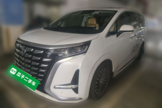 腾势D9 2024款 DM-i 980 四驱尊荣型