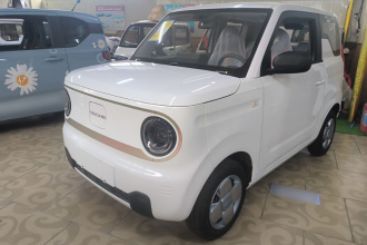 吉利银河 2024款 熊猫mini 200km 耐力熊