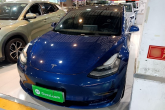 特斯拉 Model 3 2020款 改款 长续航后轮驱动版