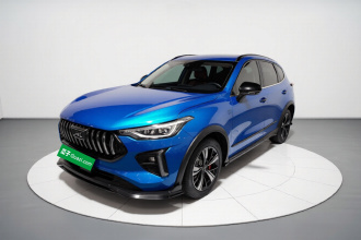 哈弗赤兔 2021款 激擎版 1.5T 黄金兔