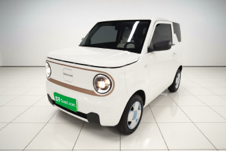 吉利银河 2024款 熊猫mini 200km 耐力熊