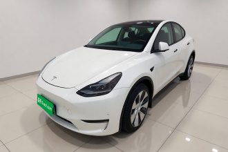 特斯拉 Model Y 2021款 改款二 长续航全轮驱动版