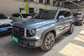 哈弗大狗 2021款 1.5T DCT两驱边牧版