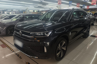 大众 揽巡 2024款 380TSI 四驱R-Line巡游 众享款