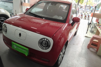 欧拉黑猫 2021款 351km 豪华型