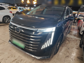 广汽传祺 传祺E9 2023款 E9 MAX