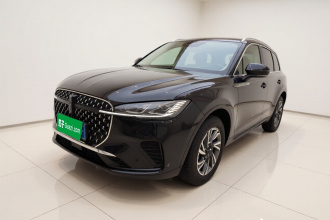 林肯 冒险家 2023款 2.0T 两驱尊享版