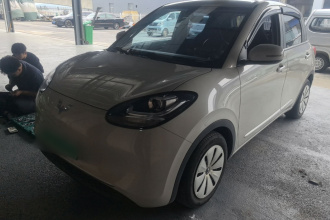 五菱汽车 五菱缤果 2023款 203km 舒享款