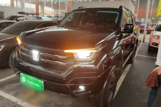 坦克400新能源 2024款 Hi4-T 城市版