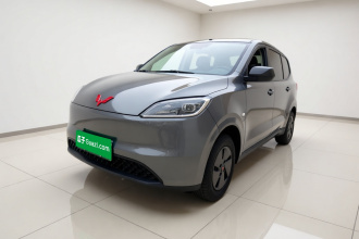 五菱汽车 五菱宏光新能源 2024款 纯电版 300KM 标准型
