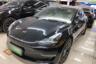 特斯拉 Model 3 2021款 Performance高性能全轮驱动版 3D6