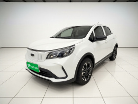 吉利几何 EX3 功夫牛 2021款 坚强牛牛