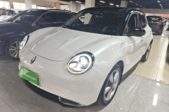 欧拉好猫 2021款 400km标准续航 维纳斯版 三元锂