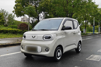 五菱汽车 宏光MINIEV 2024款 第三代 215km 青春版