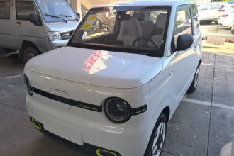 吉利银河 2025款 熊猫mini 210km 元气熊