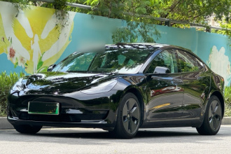 特斯拉 Model 3 2022款 后轮驱动版