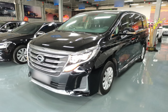 广汽传祺 传祺M8 2020款 领航款 390T 尊享版