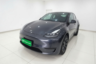 特斯拉 Model Y 2024款 后轮驱动版