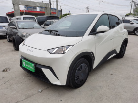 比亚迪 海鸥 2025款 305km 活力版