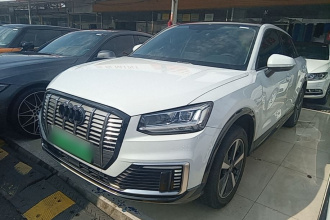 奥迪Q2L e-tron 2019款 Q2L e-tron 纯电智享型